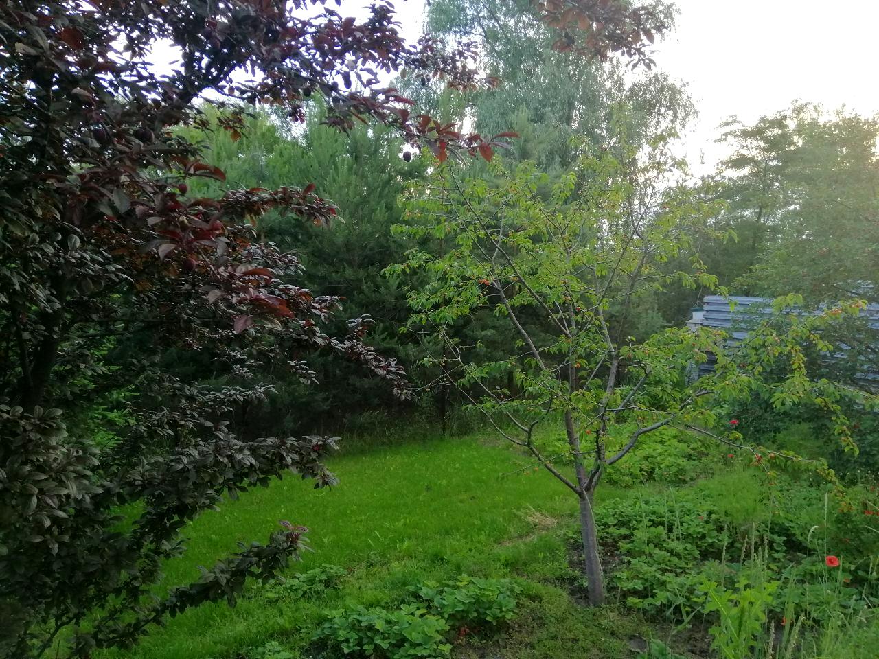 1767333678926078