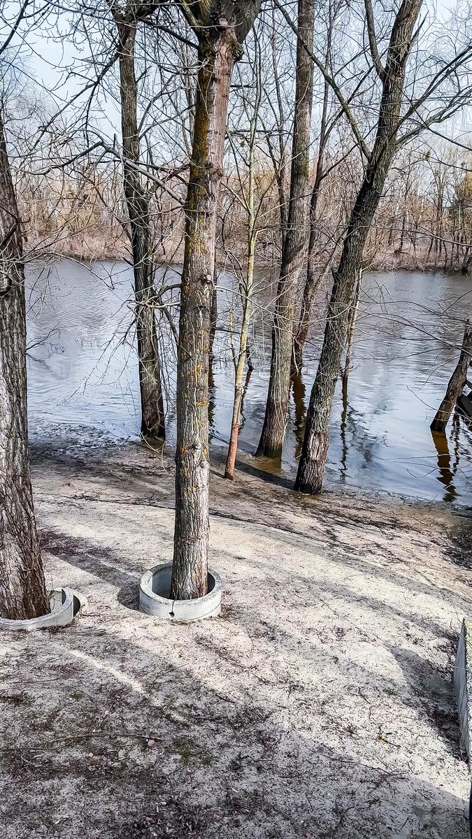 Дом по адресу (площадь 400 м²) - Atlanta.ua - фото 9