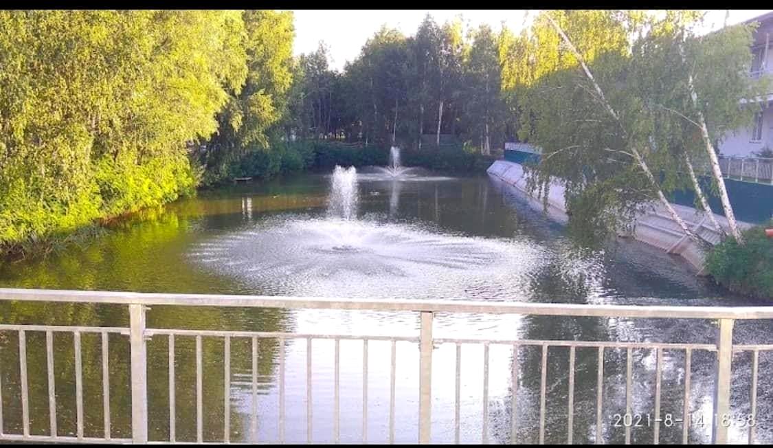 1845869976363781