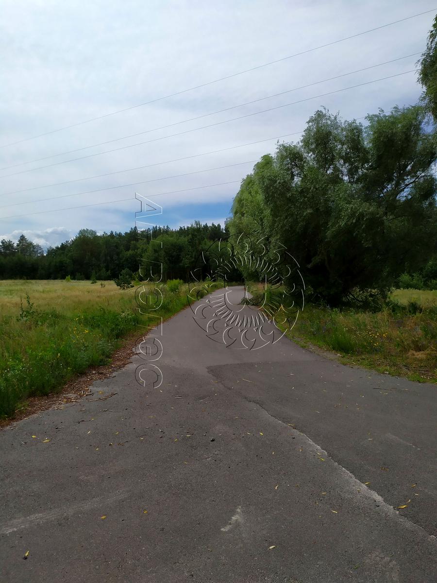 1732725550391079