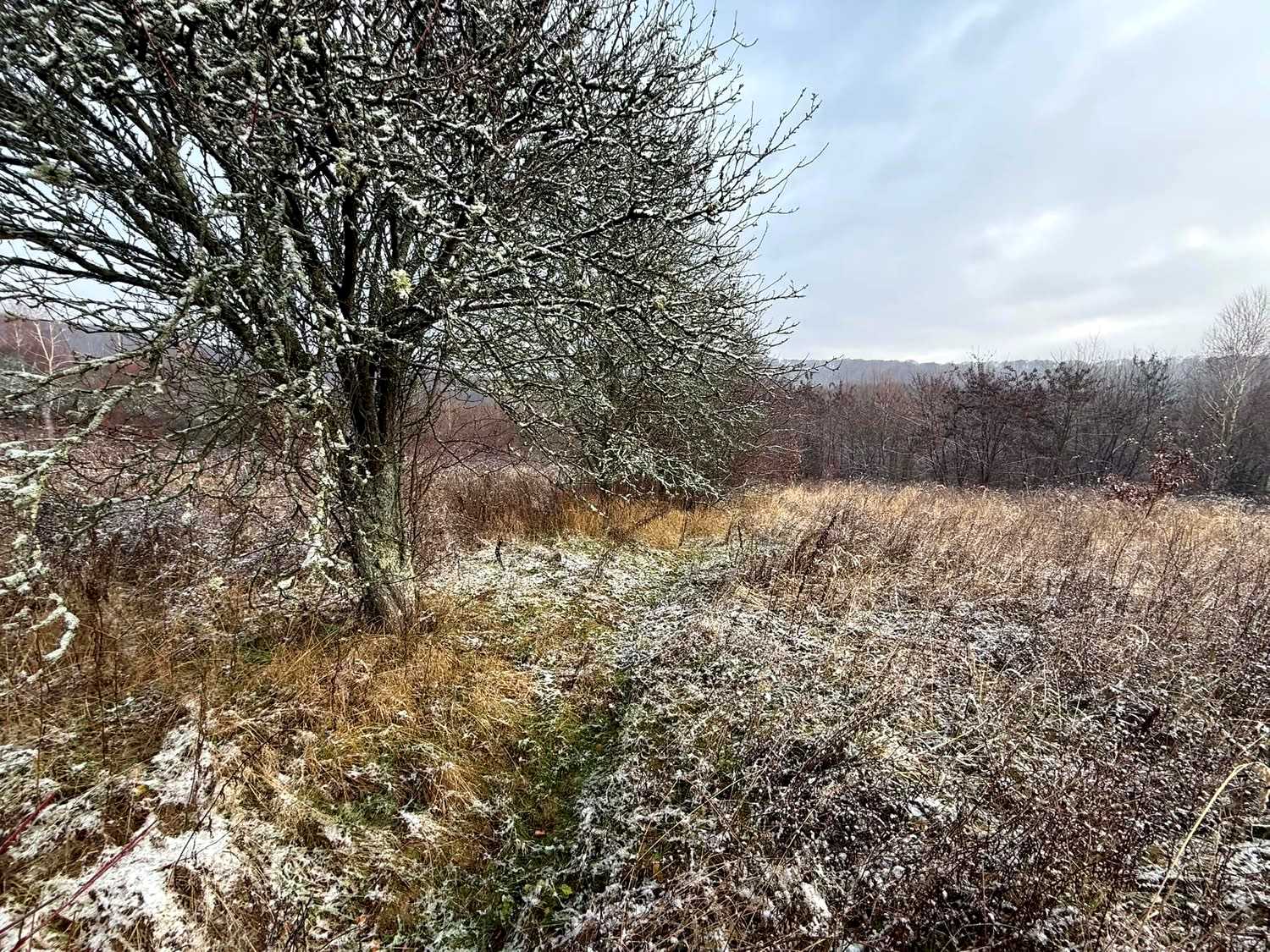 1818623335505793