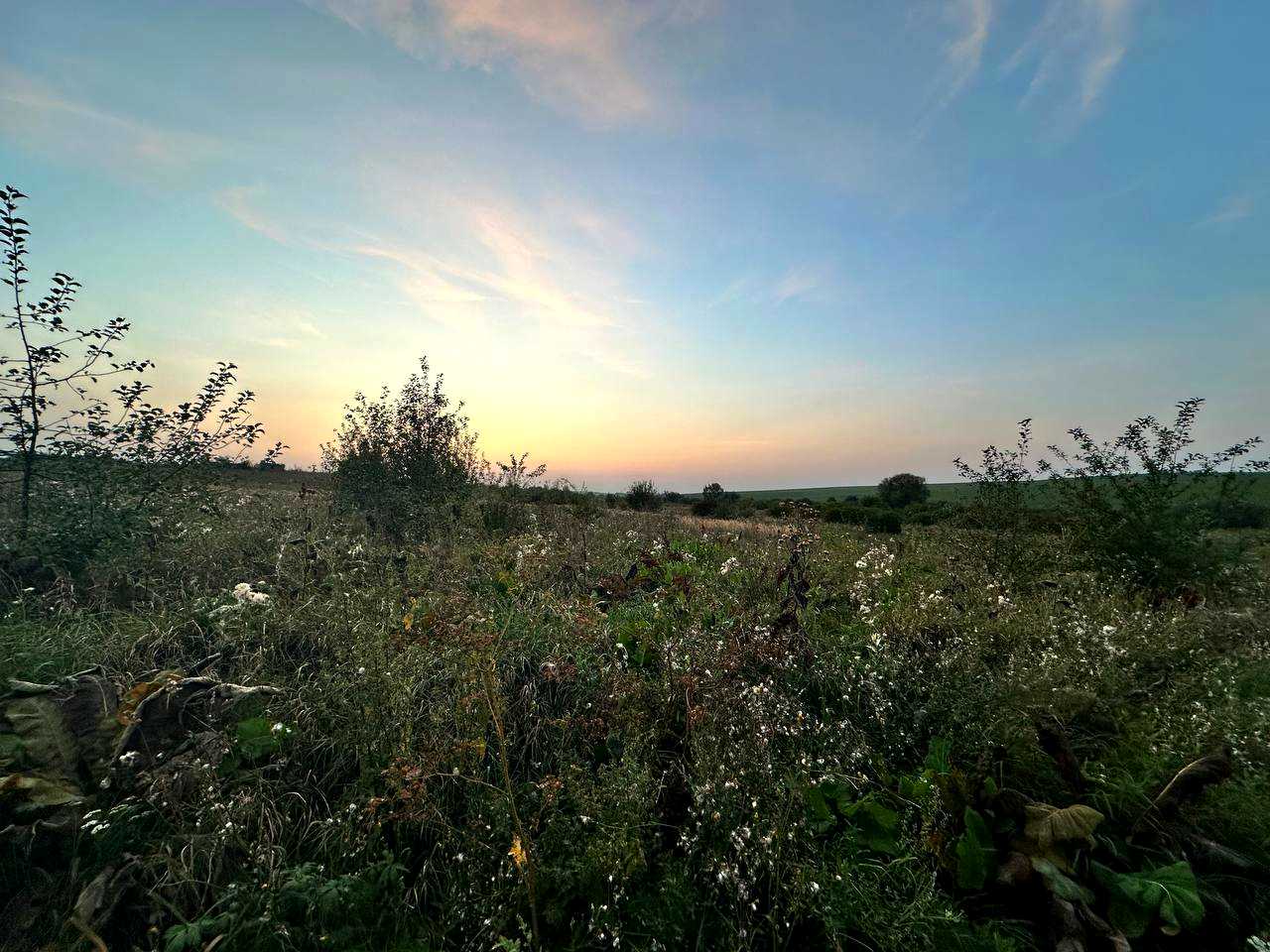 1816879365324795
