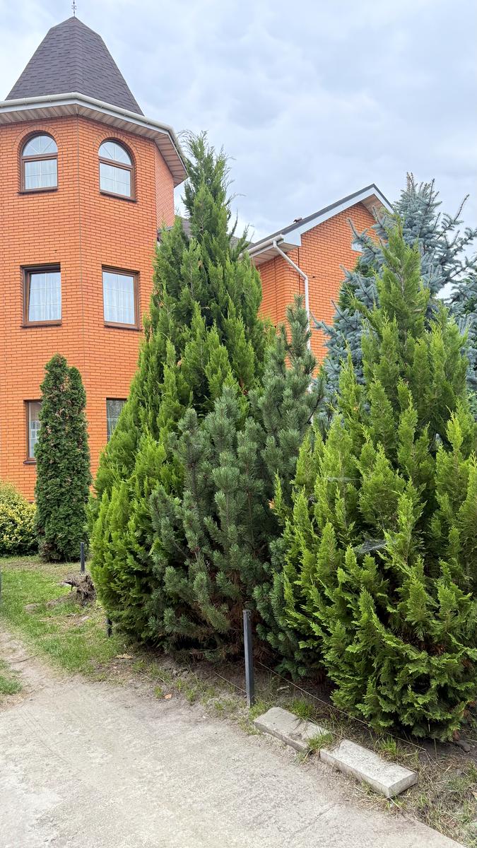 Дом по адресу (площадь 418 м²) - Atlanta.ua - фото 45