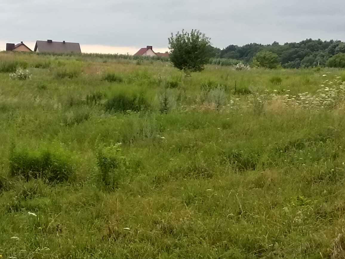 1842957646892798