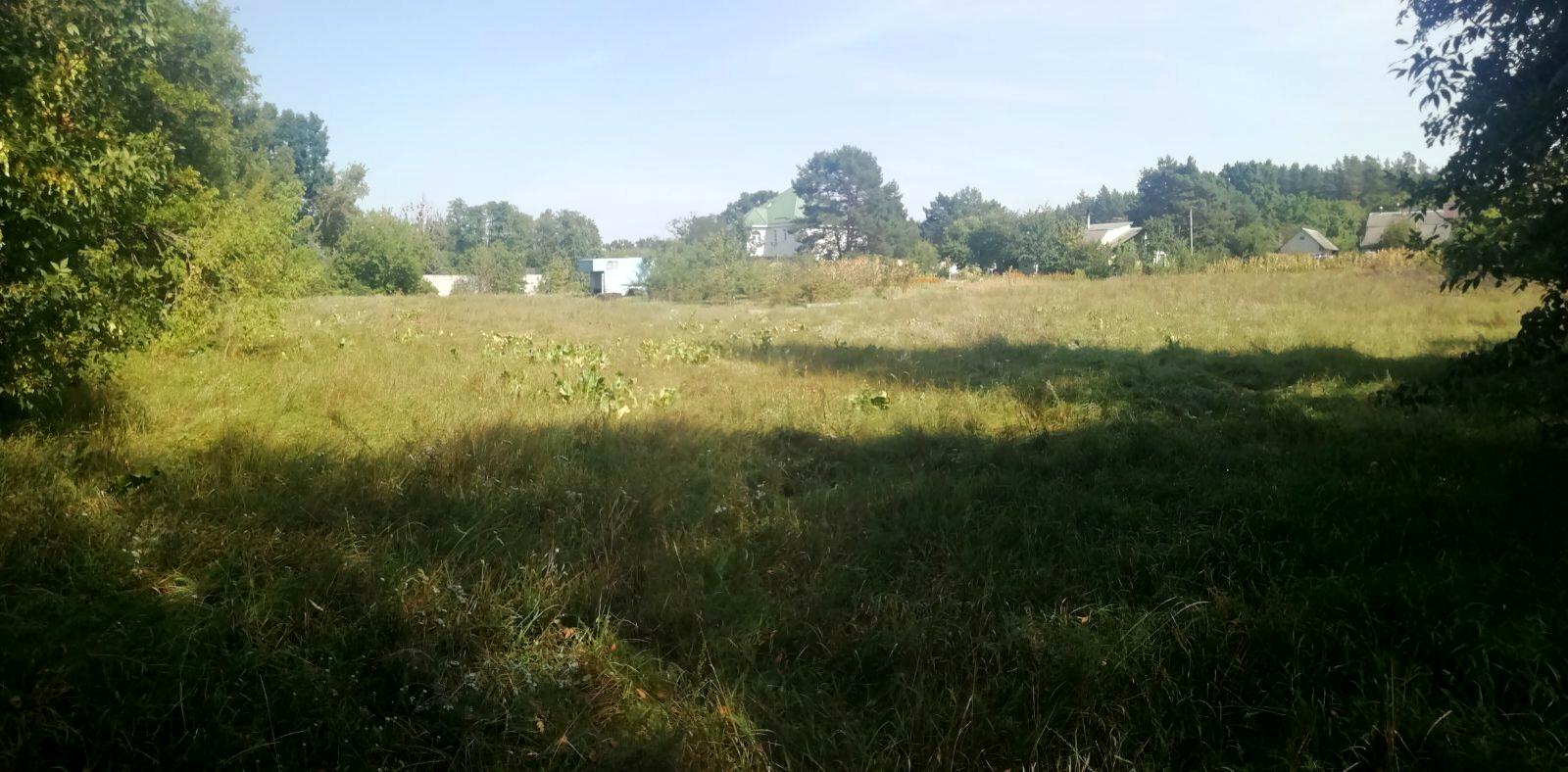 1775770779420799