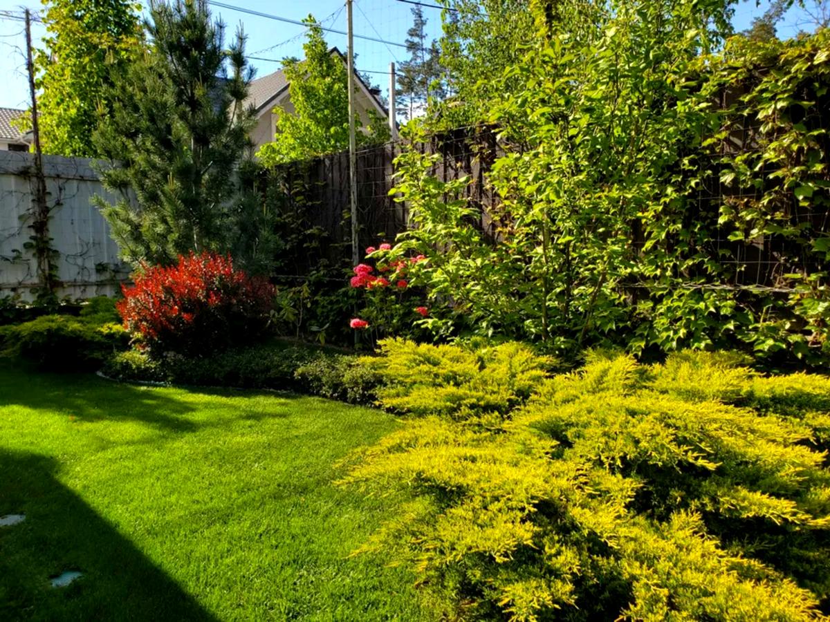 Дом по адресу ул. Михайловського (площадь 200 м²) - Atlanta.ua - фото 8