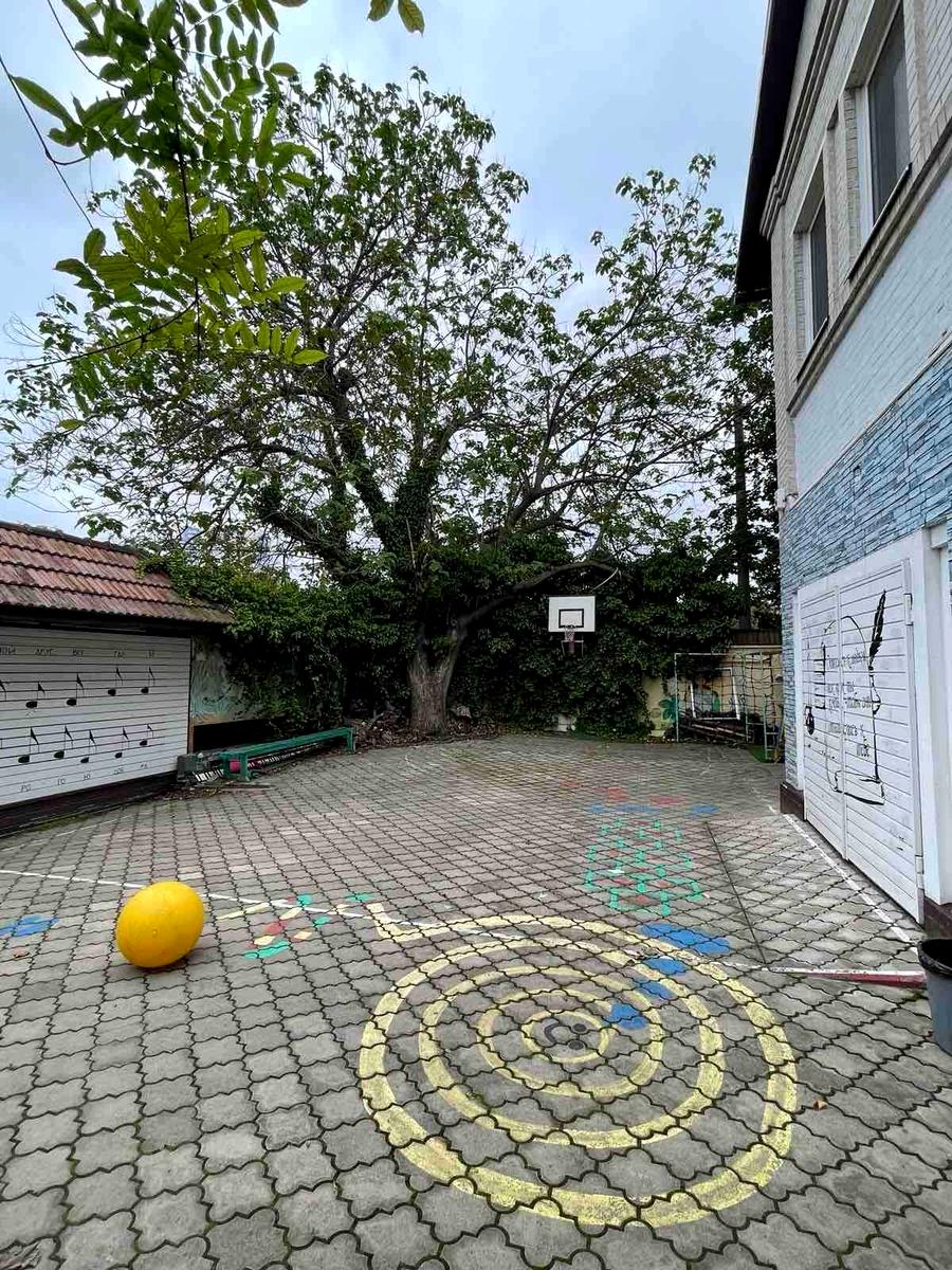Дом по адресу ул. Королева ак. (площадь 455 м²) - imageAlt 5 Дом по адресу ул. Королева ак. (площадь 455 м²) - Atlanta.ua - imageAlt 5