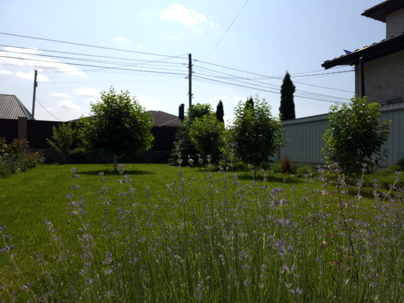 Будинок за адресою вул. Григорія Сковороди (площа 113,4 м²) - Atlanta.ua - фото 12