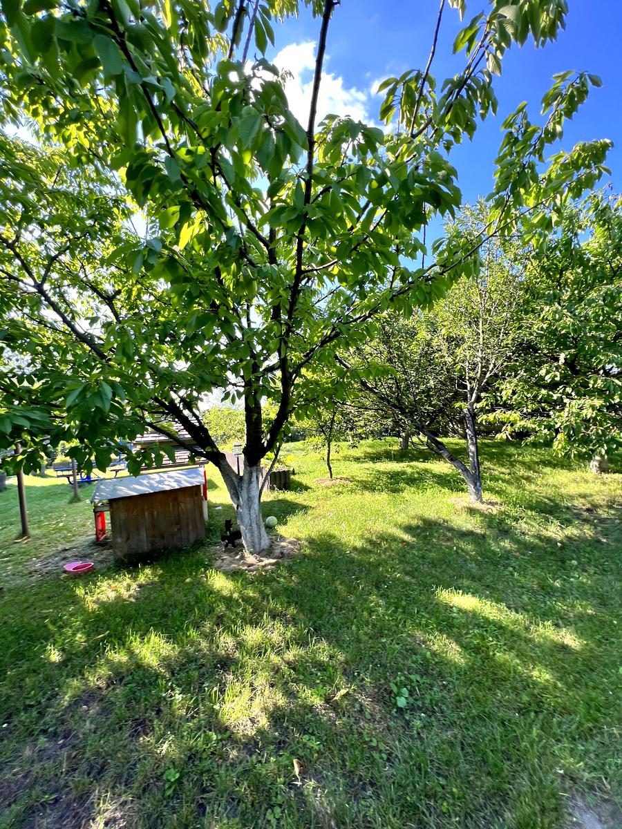 Дом по адресу (площадь 305 м²) - Atlanta.ua - фото 25