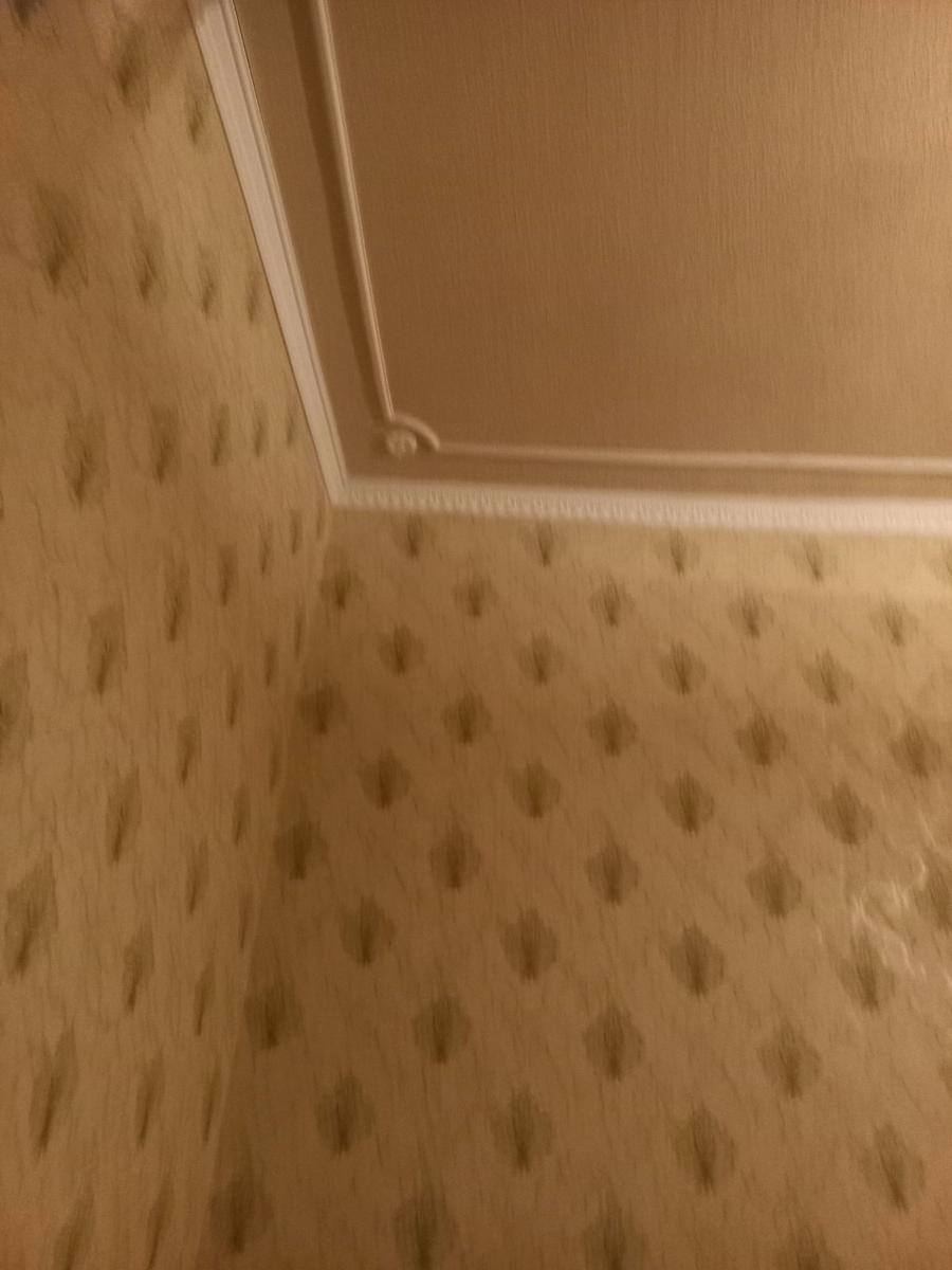 1844620473672827