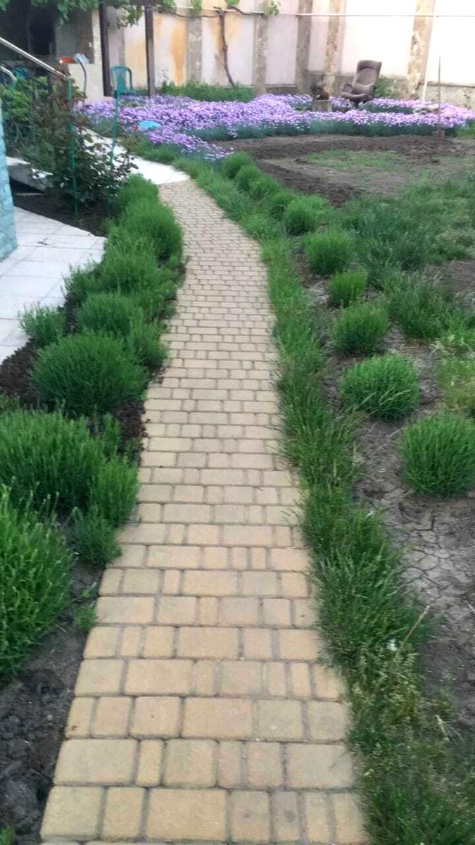 Будинок за адресою Південносанаторний пров. (площа 450 м²) - Atlanta.ua - фото 5