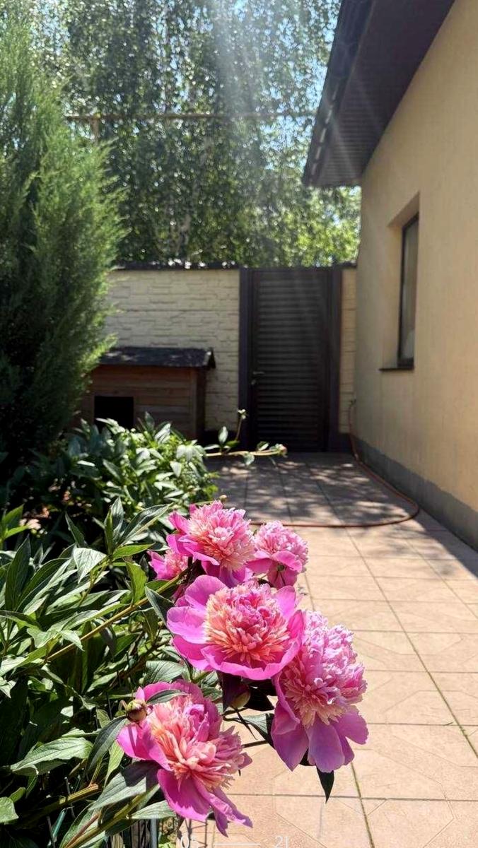 Будинок за адресою (площа 170 м²) - Atlanta.ua - фото 8