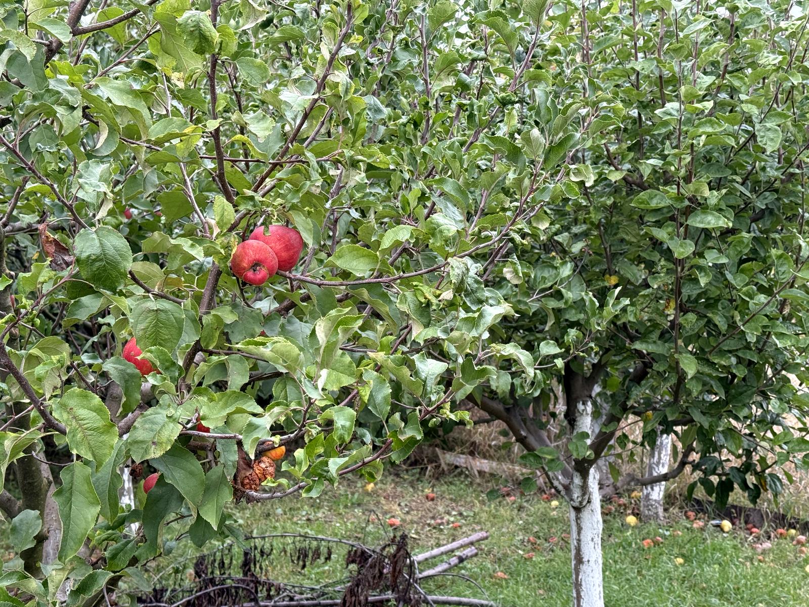 House by the address st. Sagaydachnogo (area 124 m²) - Atlanta.ua - photo 23