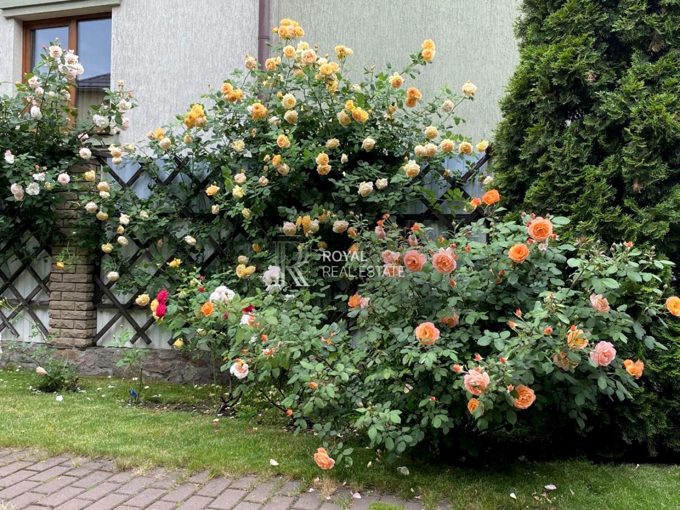 Будинок за адресою вул. Боголюбова (площа 290 м²) - Atlanta.ua - фото 6