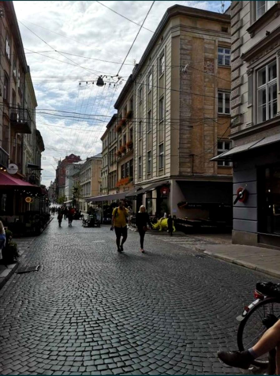 1-кімнатна квартира за адресою вул. Братів Рогатинців (площа 33 м²) - Atlanta.ua - фото 3