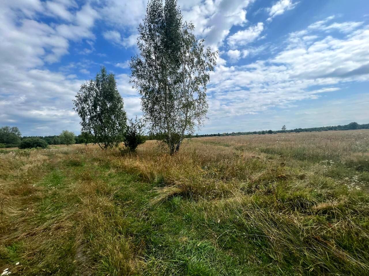 1833361637933859