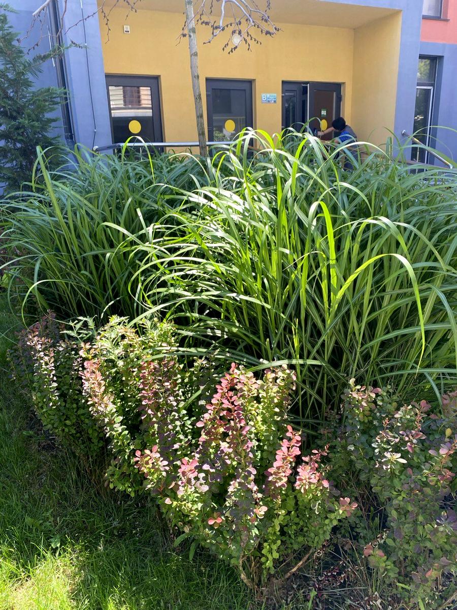 3-rooms apartment apartment by the address st. Marselskaya (area 70 m²) - Atlanta.ua - фото 34