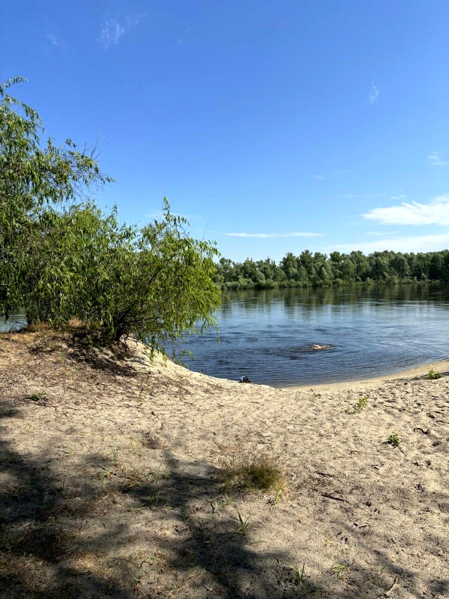 House by the address st. Marselskaya (area 91 m²) - Atlanta.ua - photo 17