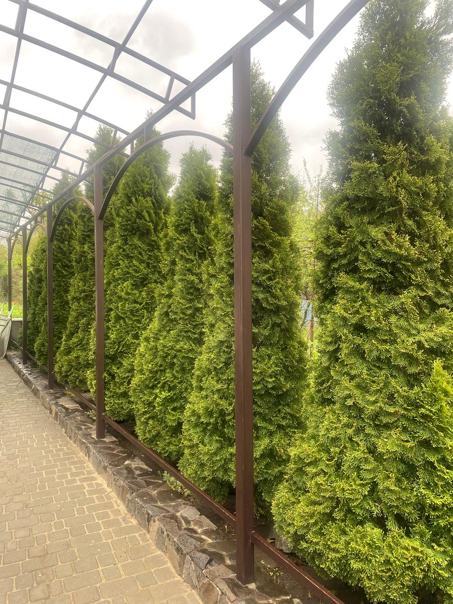 Дом по адресу ул. Степовая (площадь 200 м²) - Atlanta.ua - фото 4