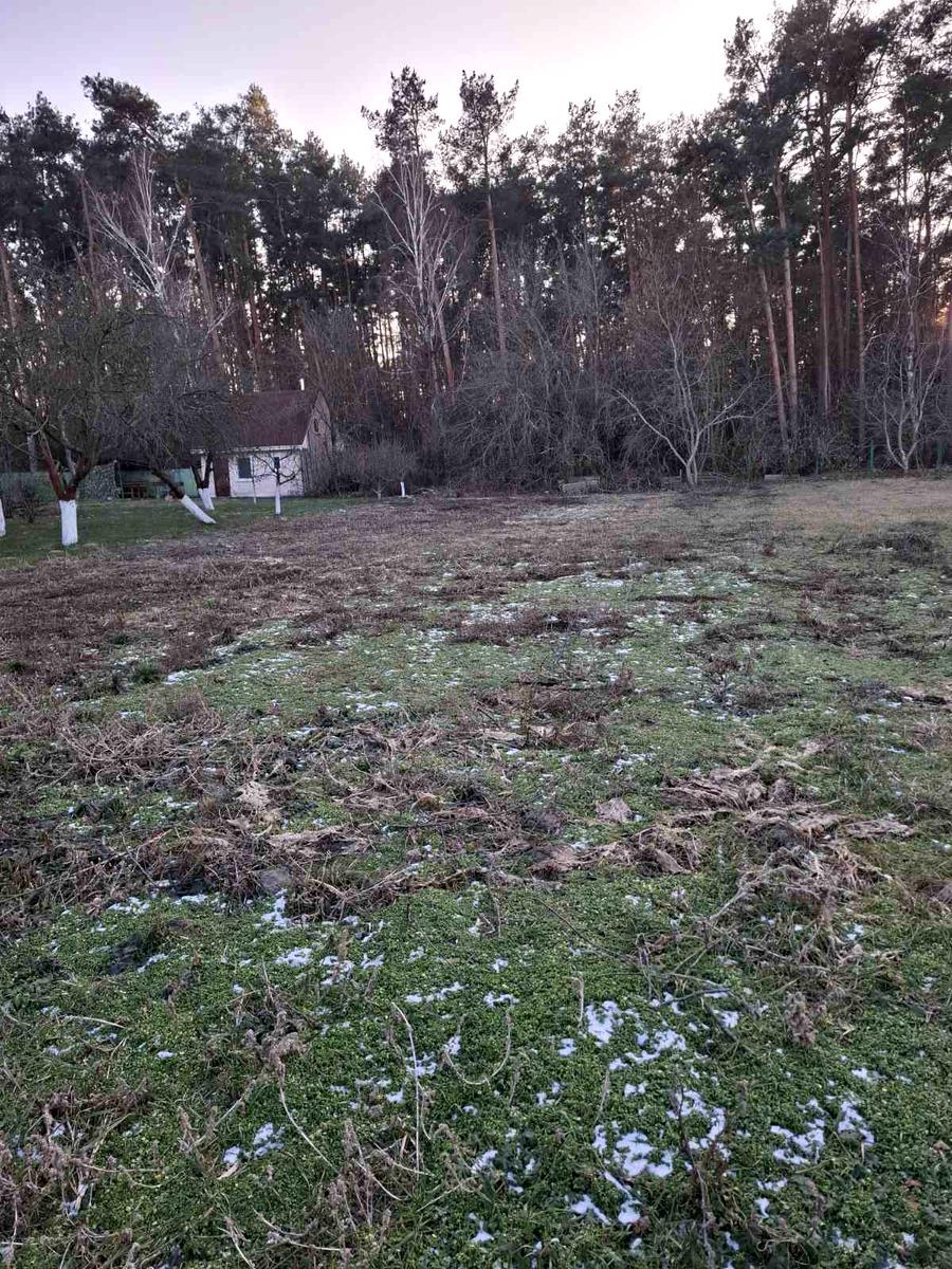 Дом по адресу (площадь 100 м²) - Atlanta.ua - фото 6