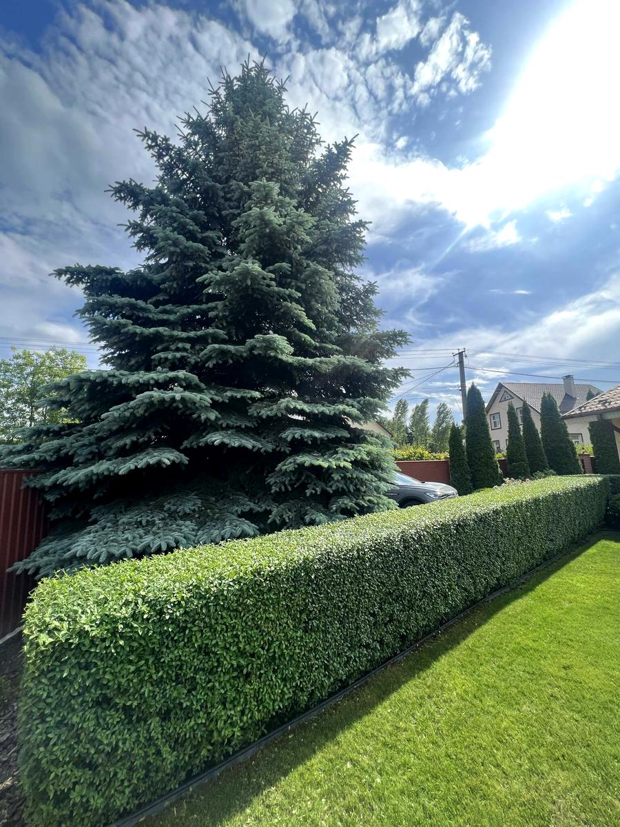 Будинок за адресою (площа 230 м²) - Atlanta.ua - фото 18