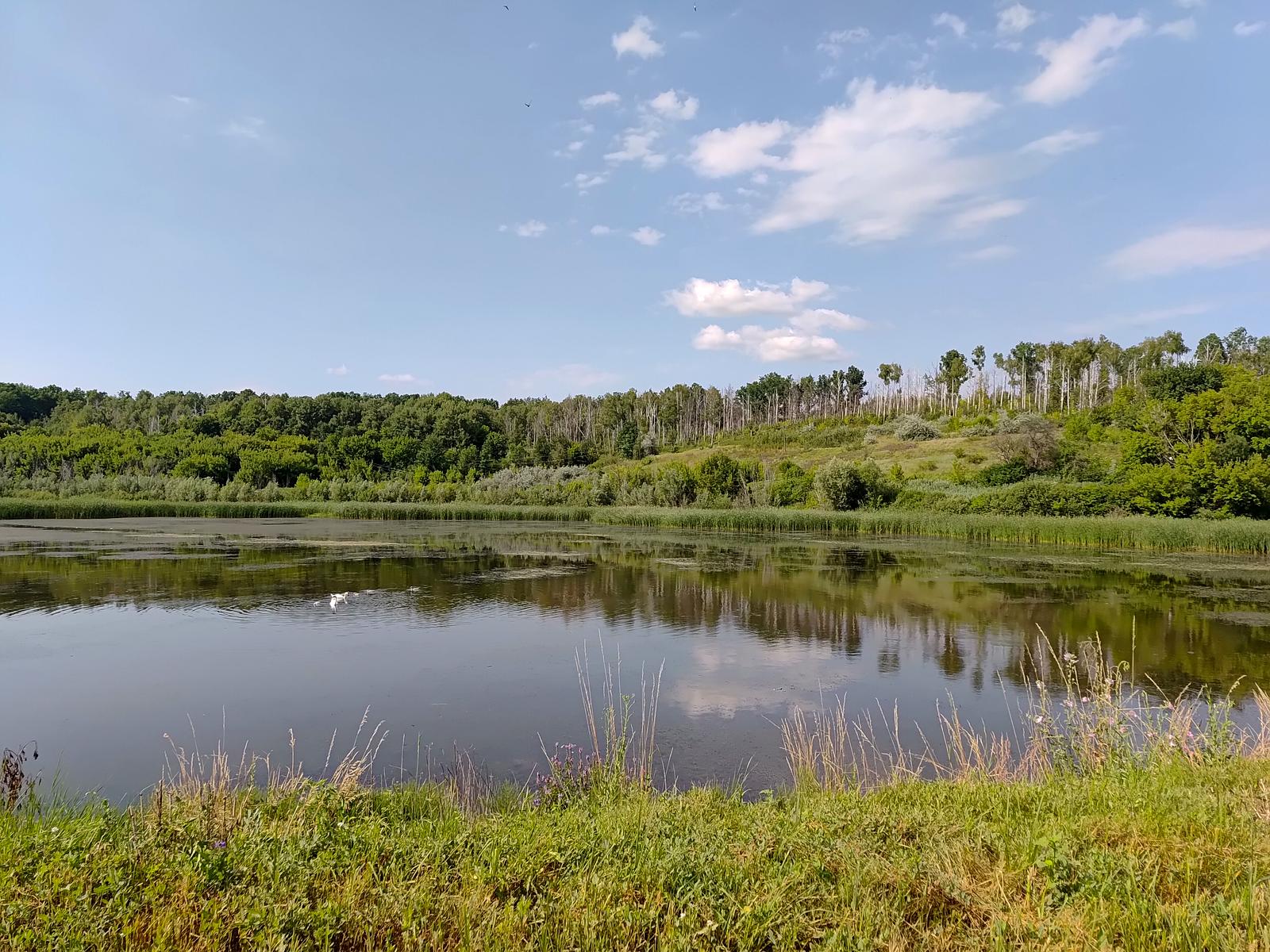 Будинок за адресою вул. Заболотного ак. (площа 90 м²) - Atlanta.ua - фото 5