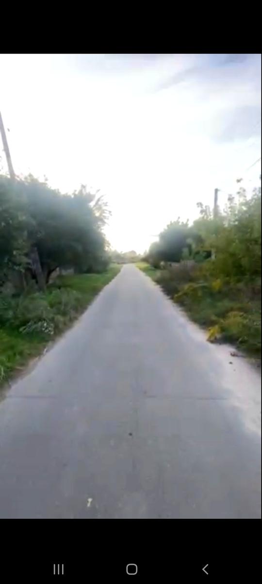 1779271556701918
