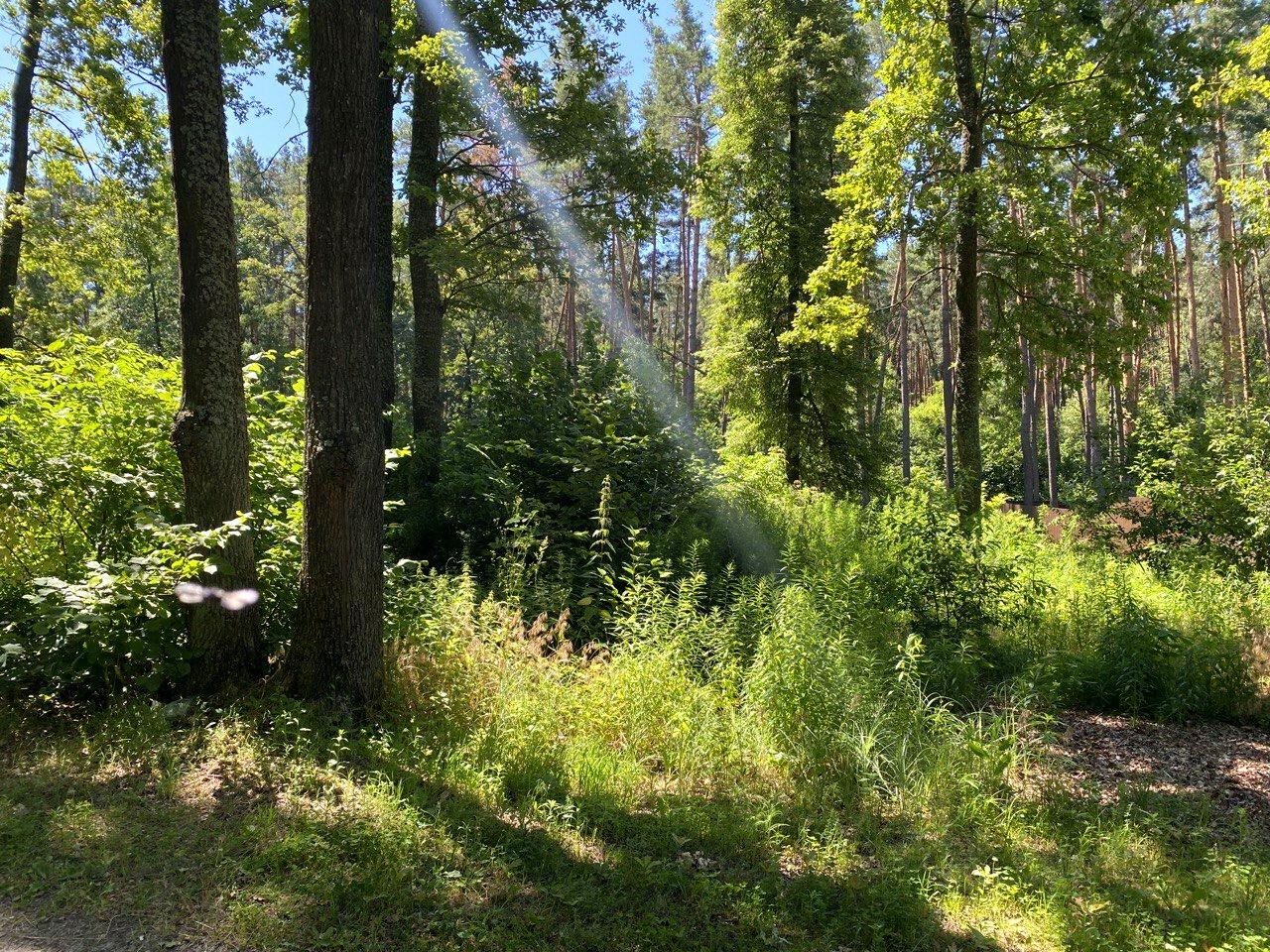 1837247317458926