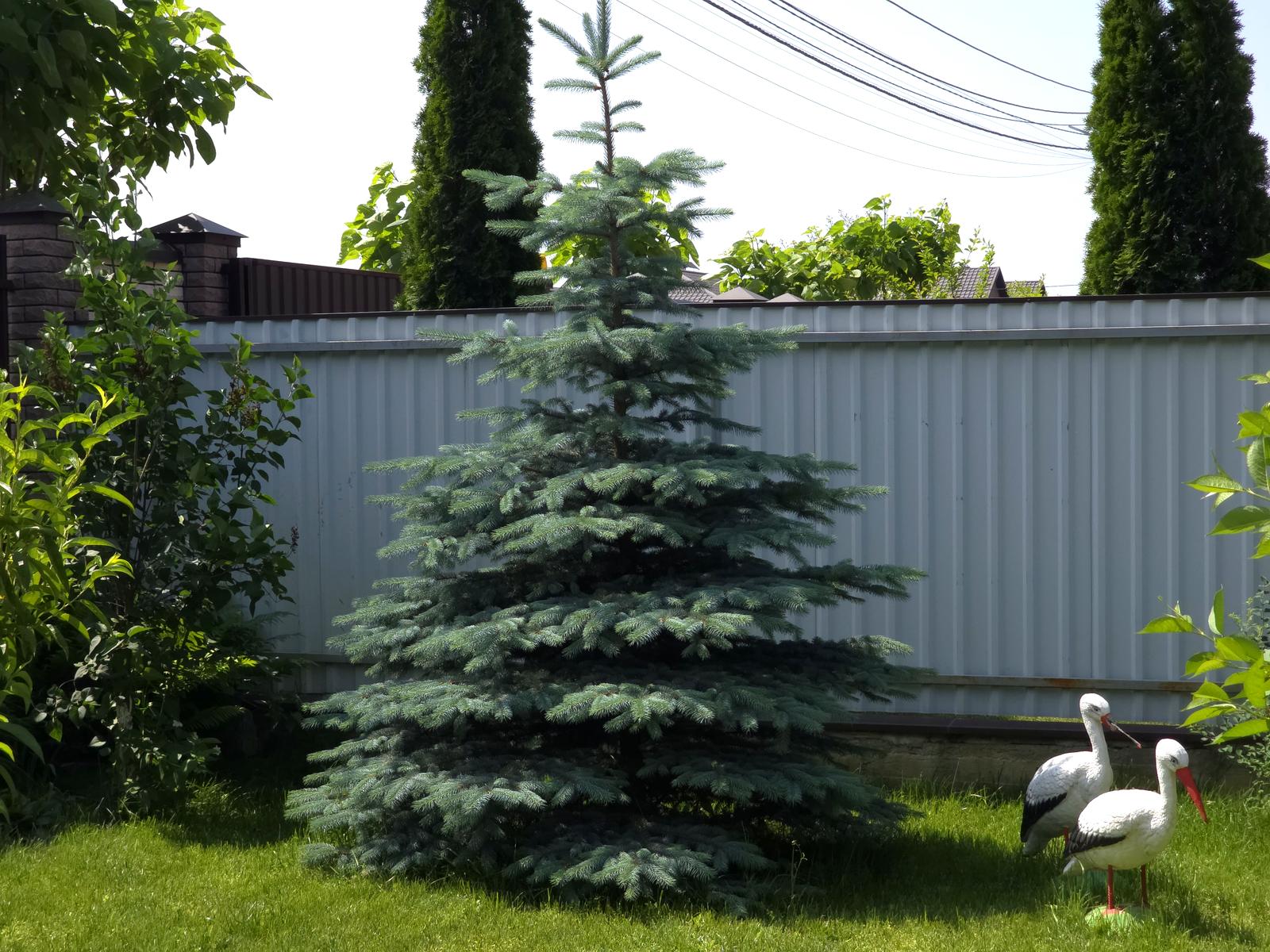 Будинок за адресою вул. Григорія Сковороди (площа 113,4 м²) - Atlanta.ua - фото 7