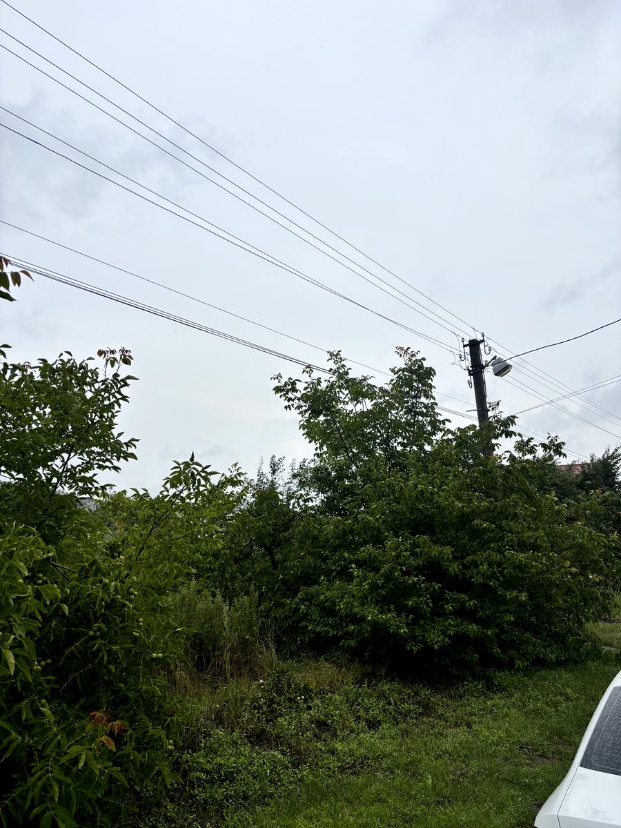 1838187730865933