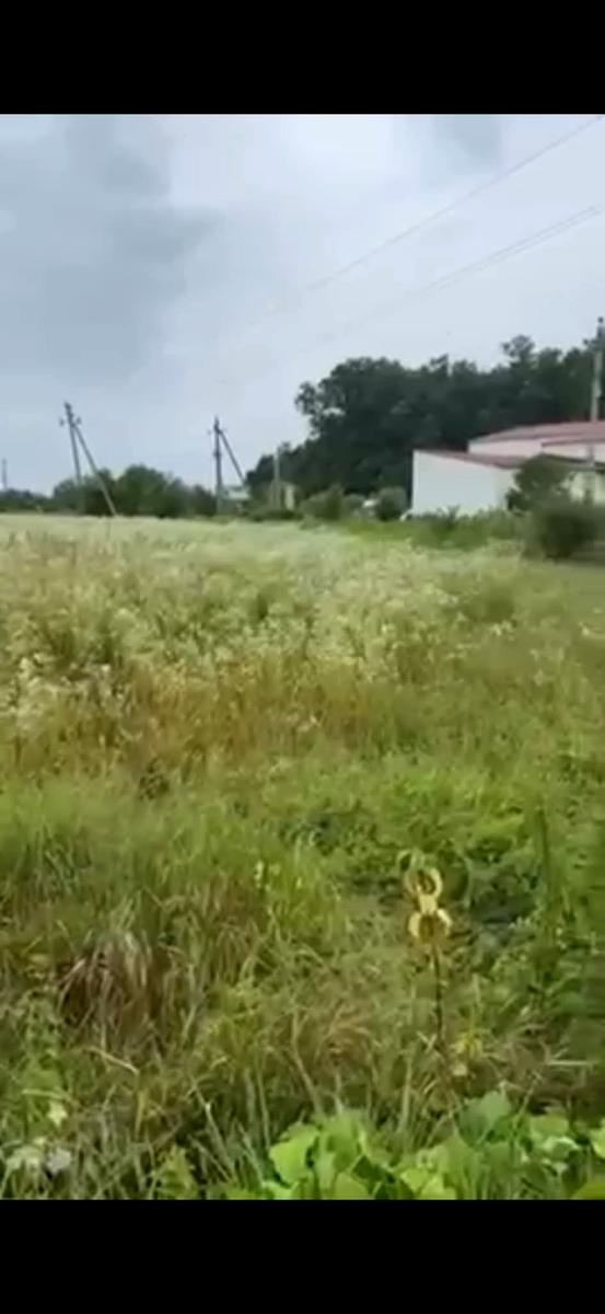 1842330233511938