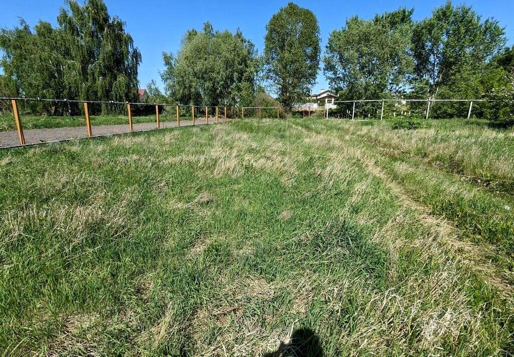 1825782481697094