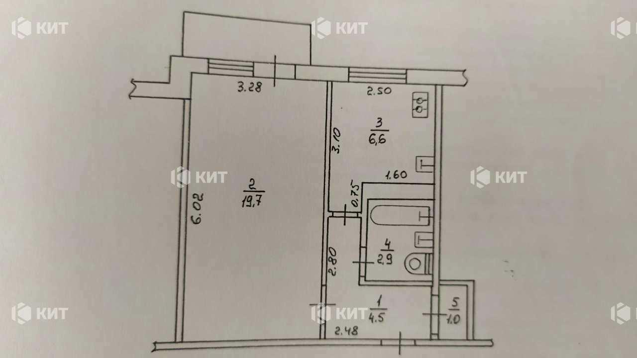 1828209801669953