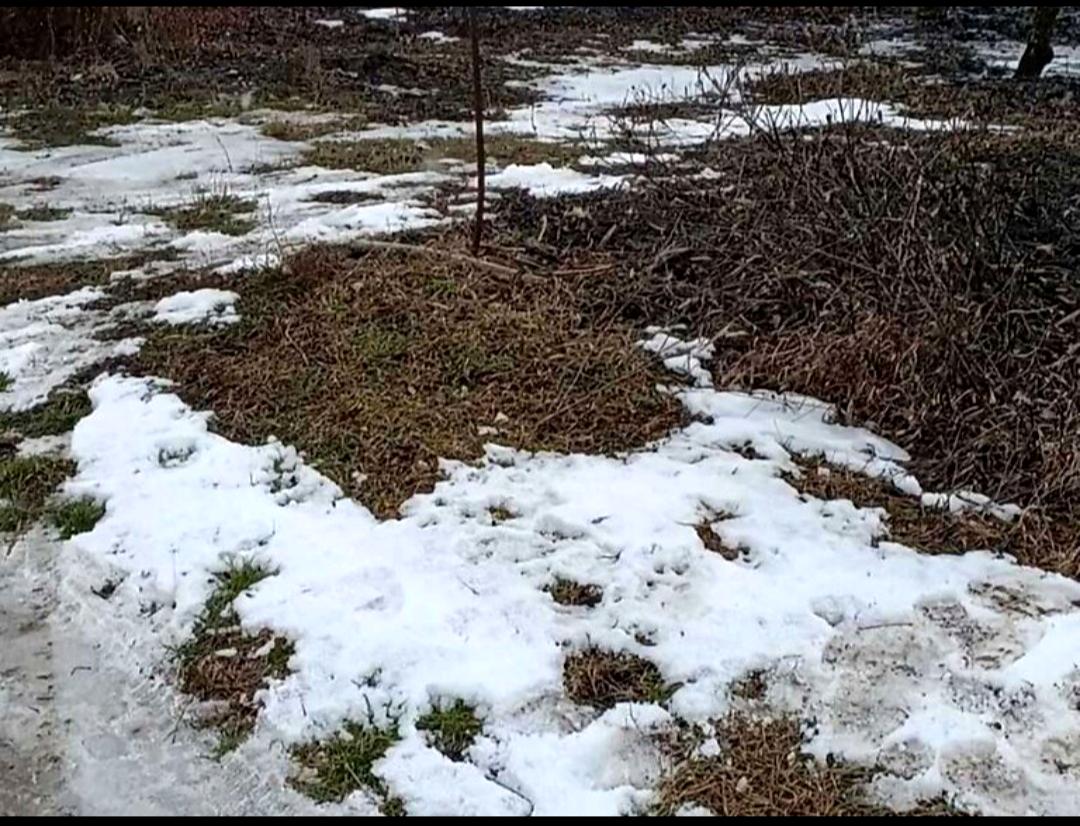 1823692277715977