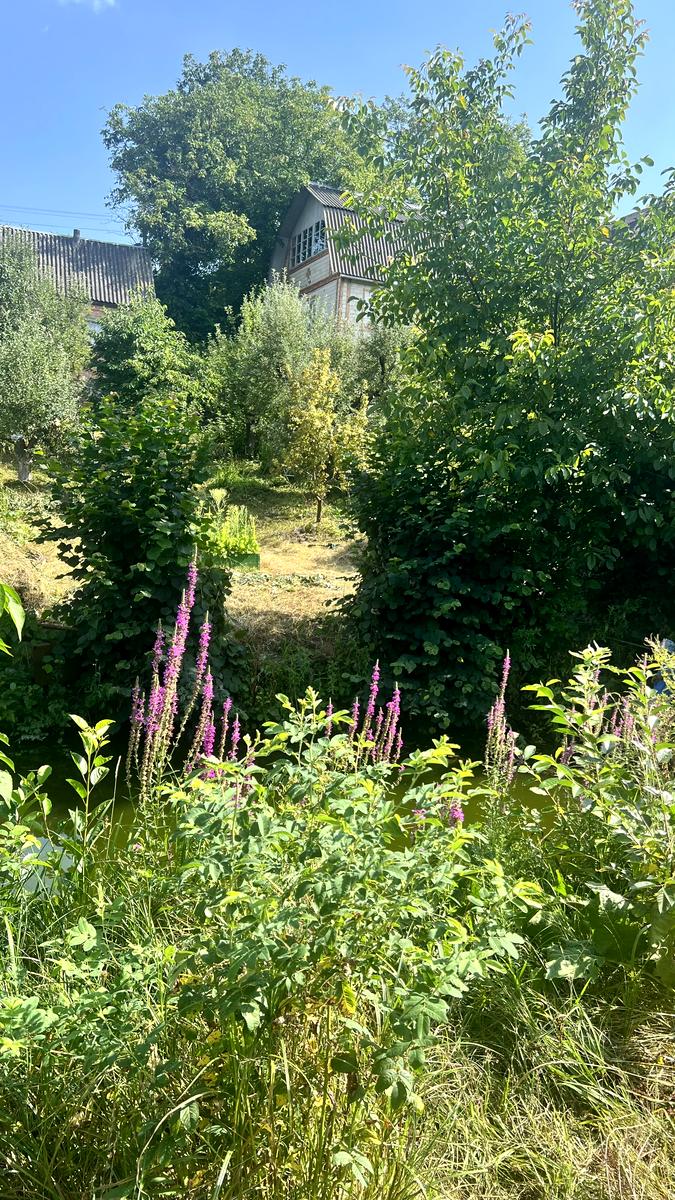 Будинок за адресою вул. Променева (площа 24 м²) - Atlanta.ua - фото 4