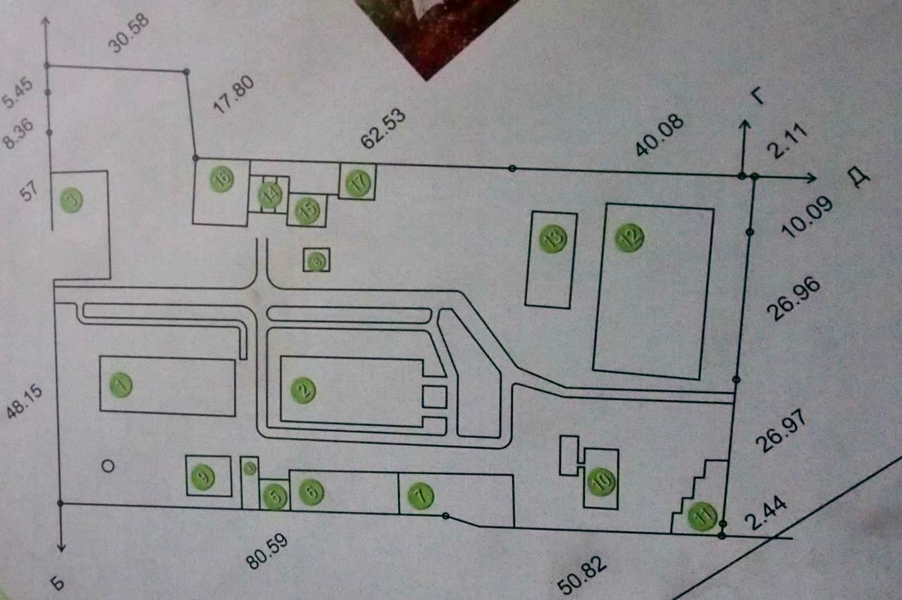 1775730006573986