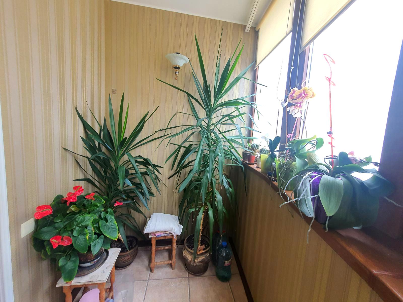 2-комнатная квартира по адресу ул. Костанди (площадь 80 м²) - Atlanta.ua - фото 3