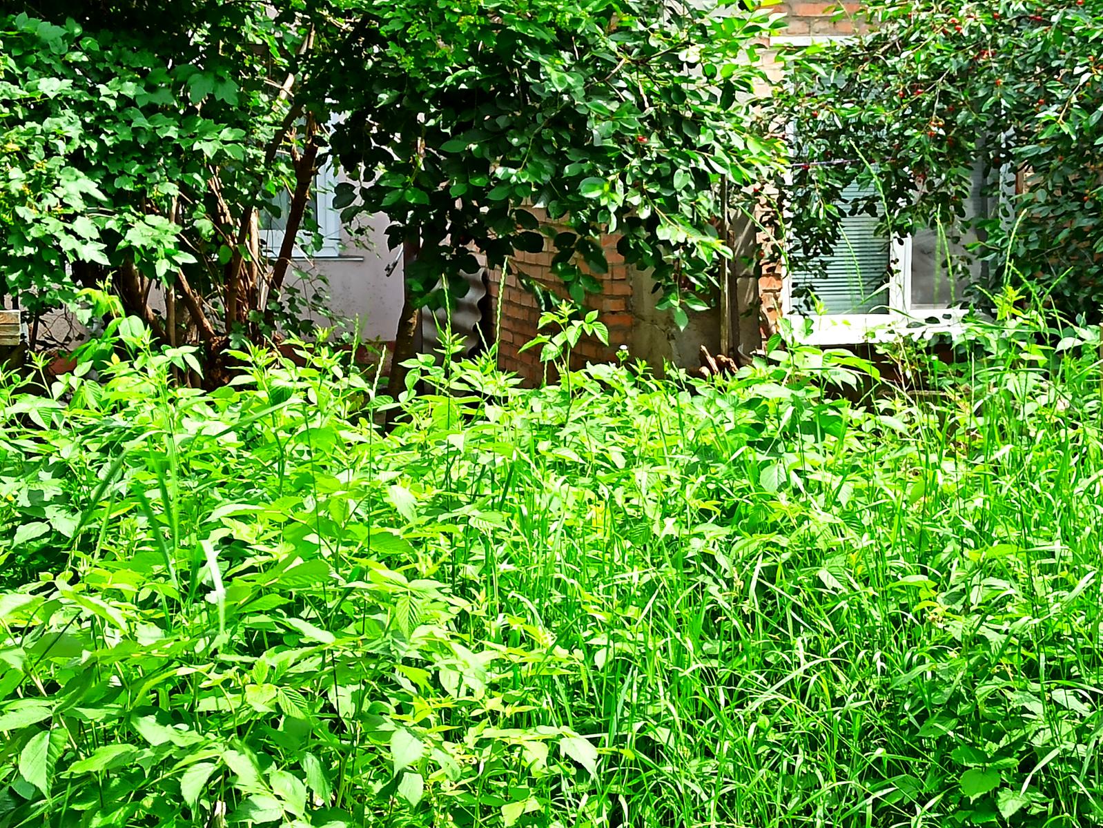 2-rooms apartment apartment by the address st. Vinnichenko (area 35 m²) - Atlanta.ua - photo 16