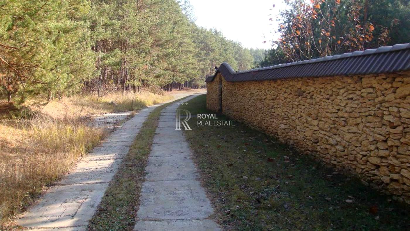 1843318884586992