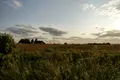 ділянка за адресою шевченка