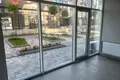 комерційна за адресою Левадна вул., 9