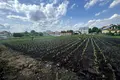 ділянка за адресою с. Великі Грибовичі, Стуса