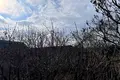 ділянка за адресою Миру, 55