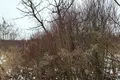 участок по адресу Озёрная ул., 88