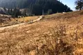 участок по адресу с. Поляница, Прохідний