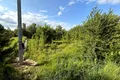 участок по адресу с. Гореничи, 