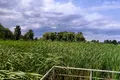 дом по адресу с. Трушки, Набережна