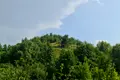 участок по адресу с. Старые Безрадичи, Садова, 2