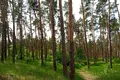 будинок за адресою Ліснича вул.