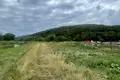 ділянка за адресою с. Невицьке, 